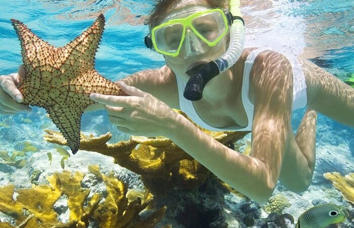 Lặn snorkel ngắm san hô khá thú vị